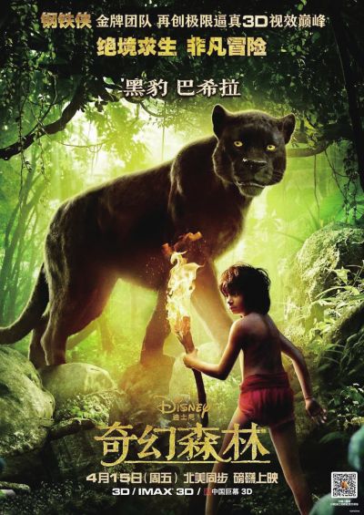 摩洛哥护照买个多少钱